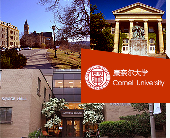 康奈尔大学