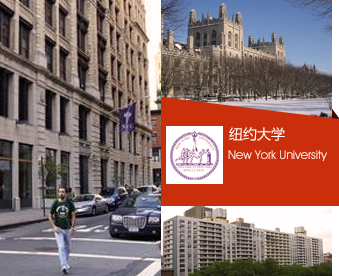 纽约大学