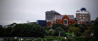 惠灵顿维多利亚大学