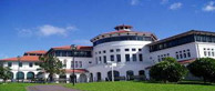 梅西大学